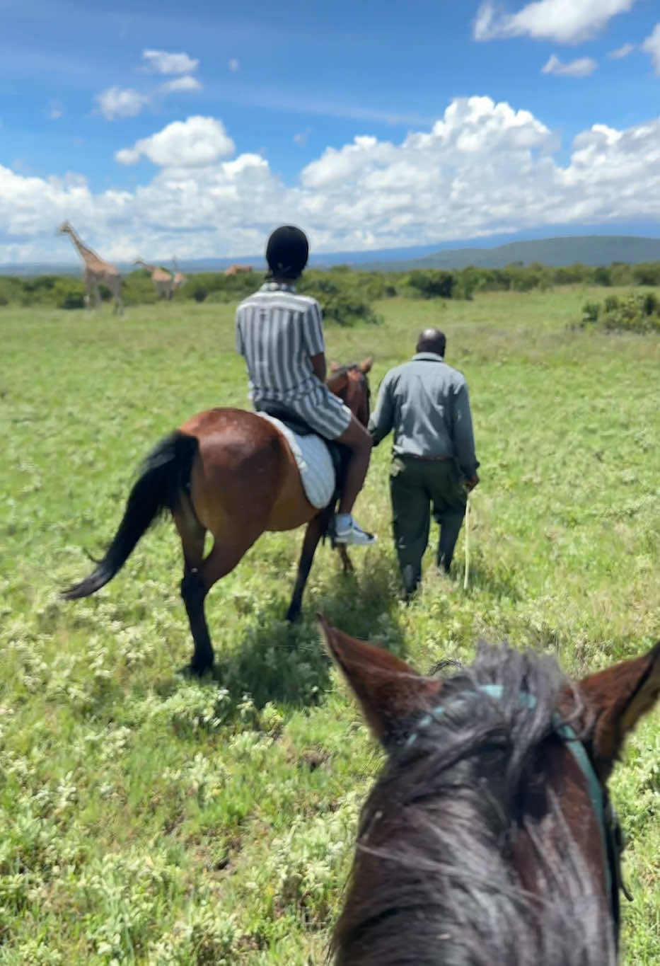 @Bountiful Safaris | Travel