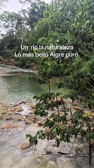 @la_colocharamirez