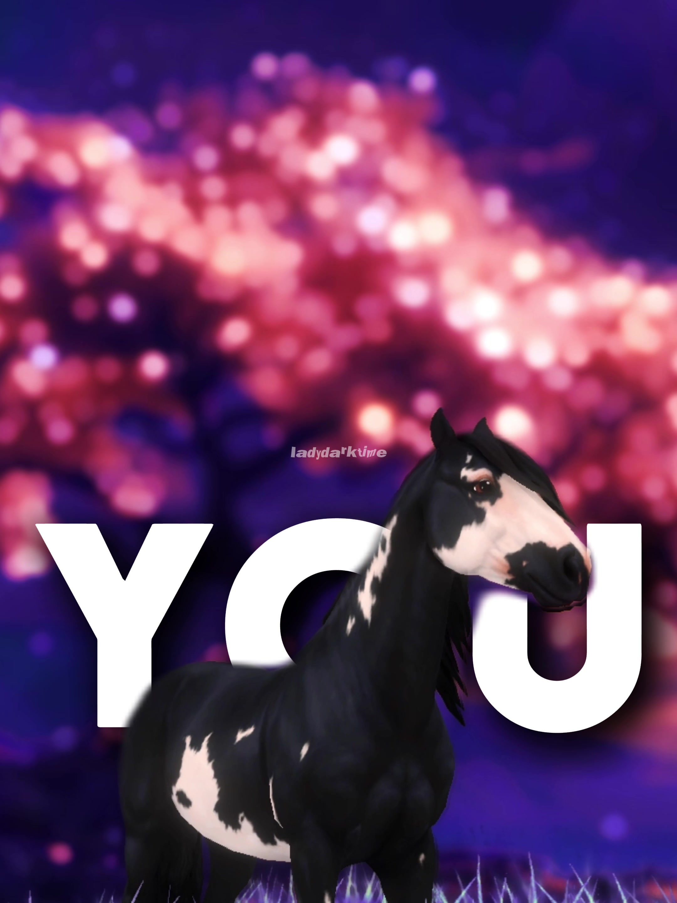 @Lady 🌷