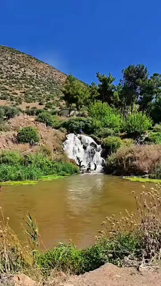 @عبدالرحمن عمر