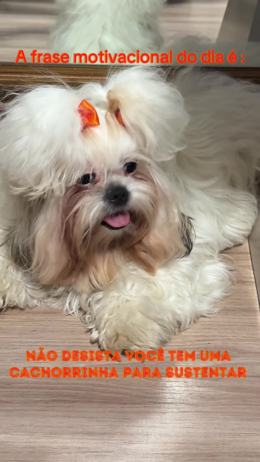 @Veraoliveiracoiffure