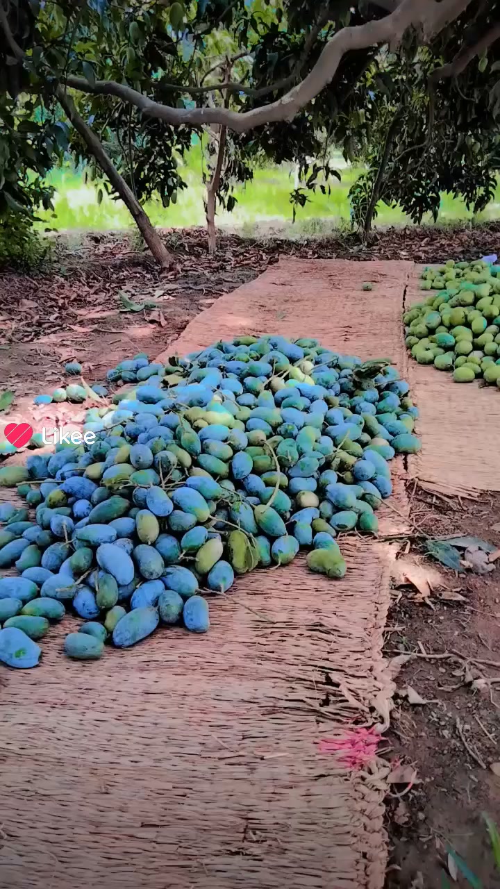 @عمران گجر
