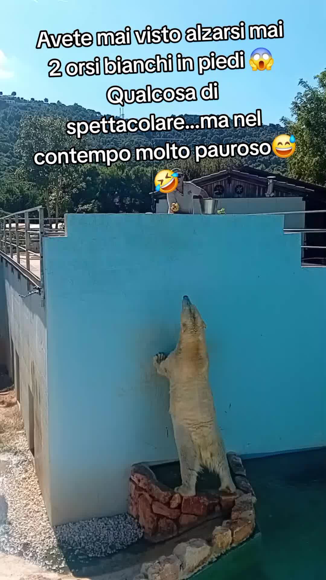 @Salpietro Damiano Roberto