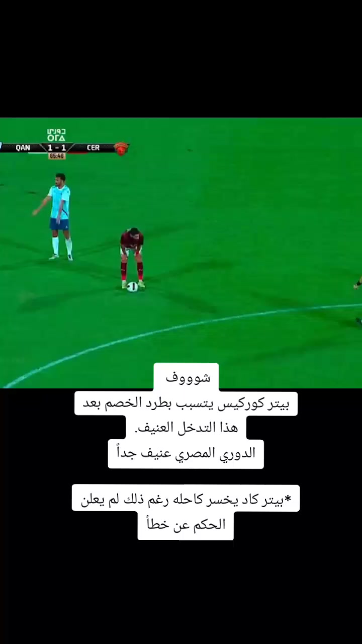 @ملعب البصرة جذع نخلة