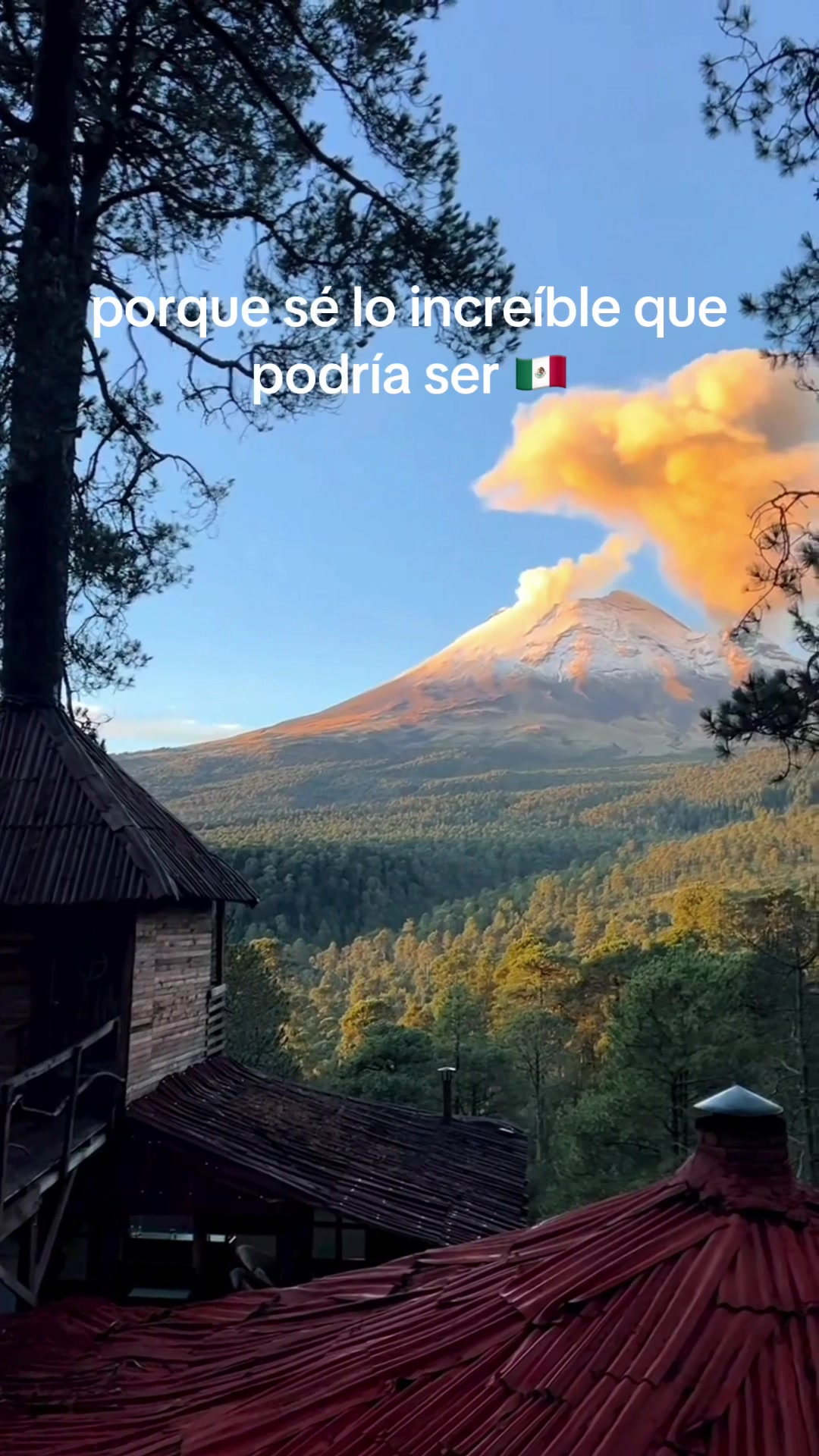 @Vive México