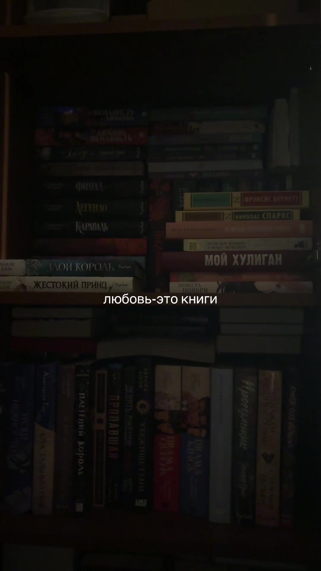 @angel’s book nook🪽