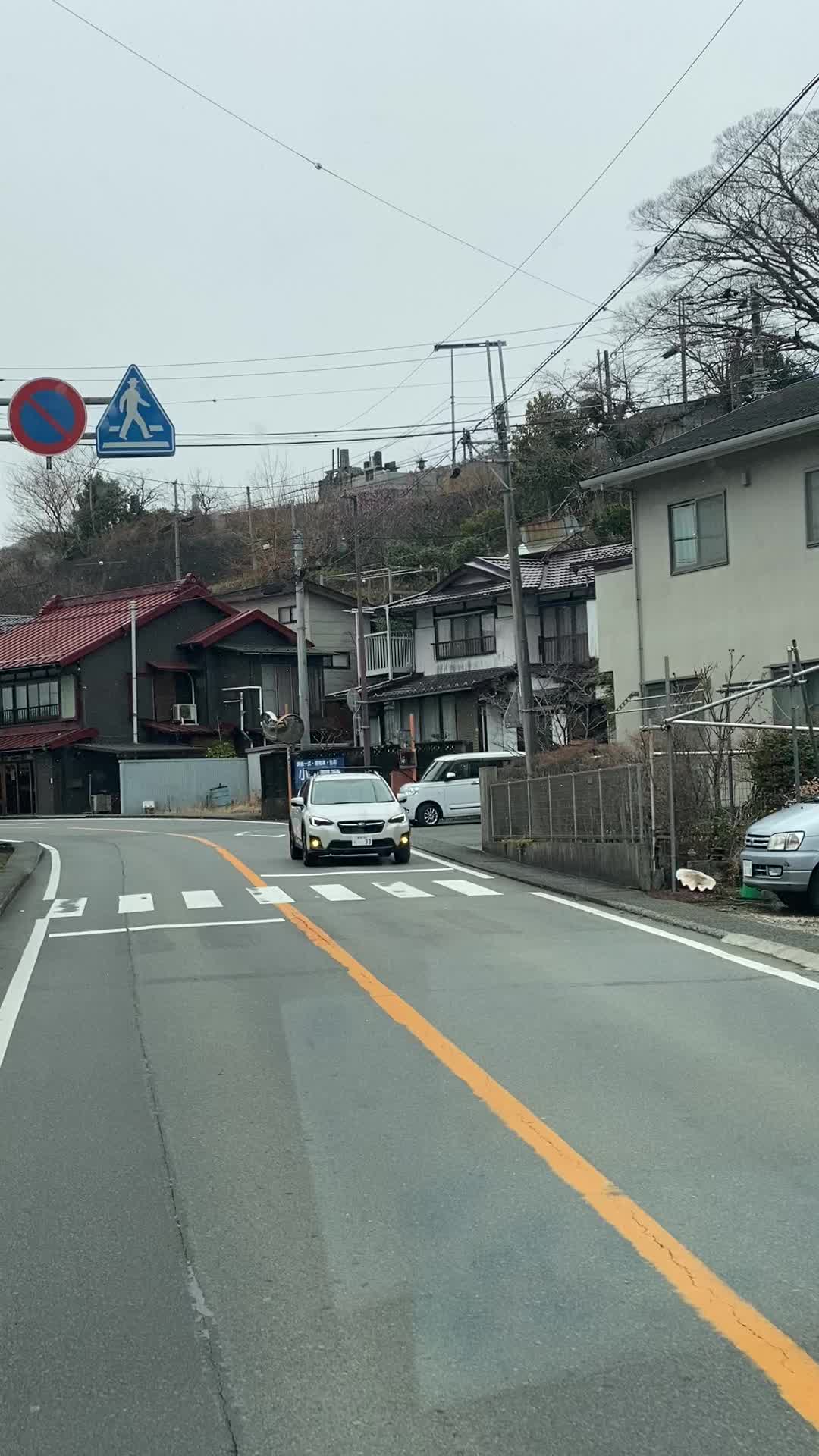 @日本vibes