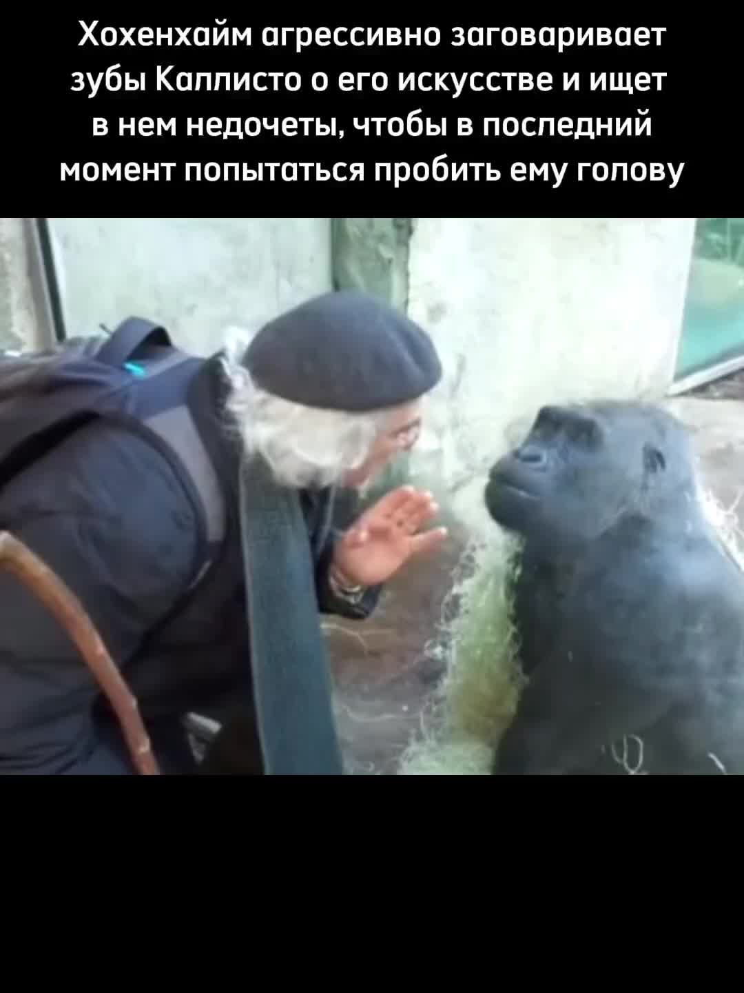 @авокадыш!
