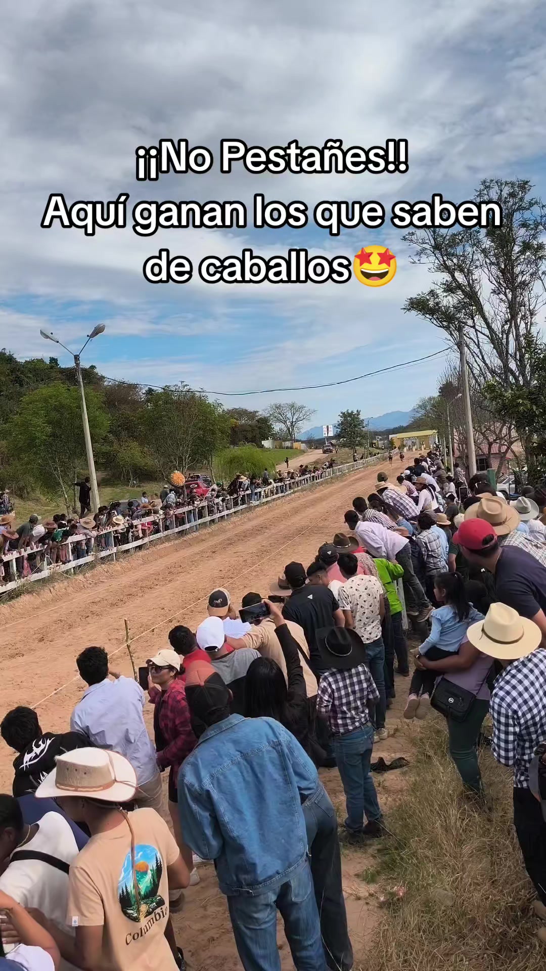 @Nutricionista Rosselin