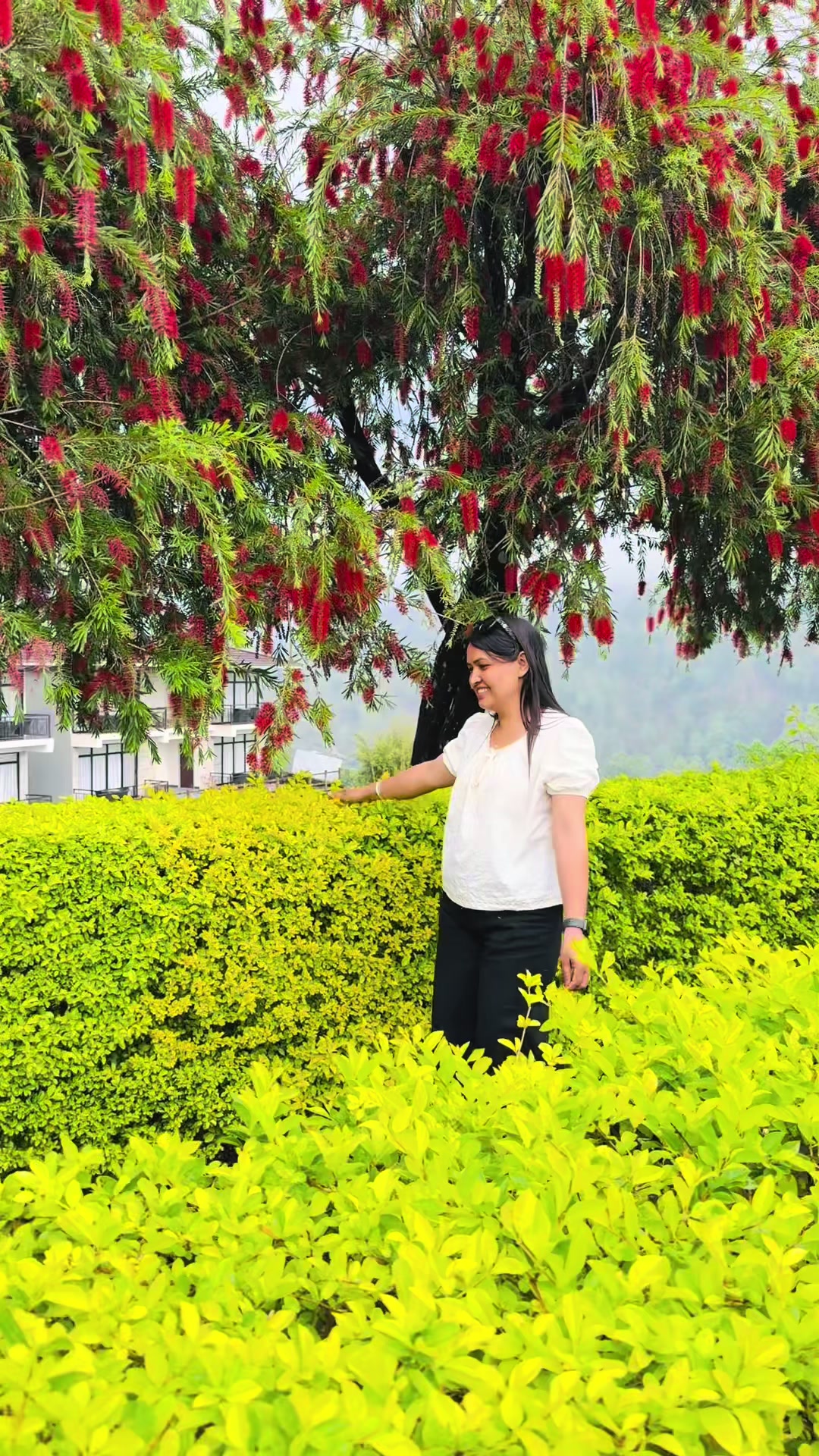 @Sharada Puri