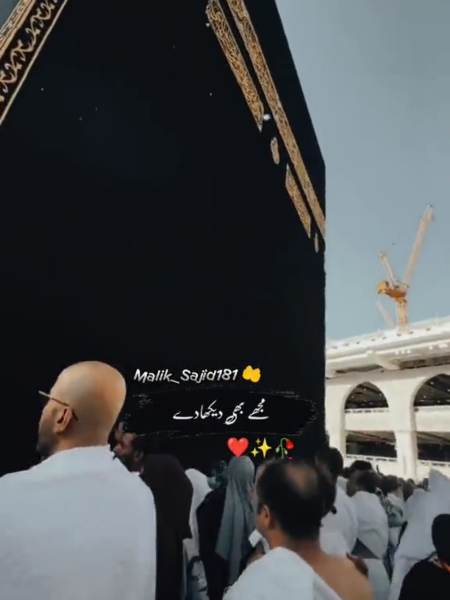 @🥀Malik_Sajid181💫