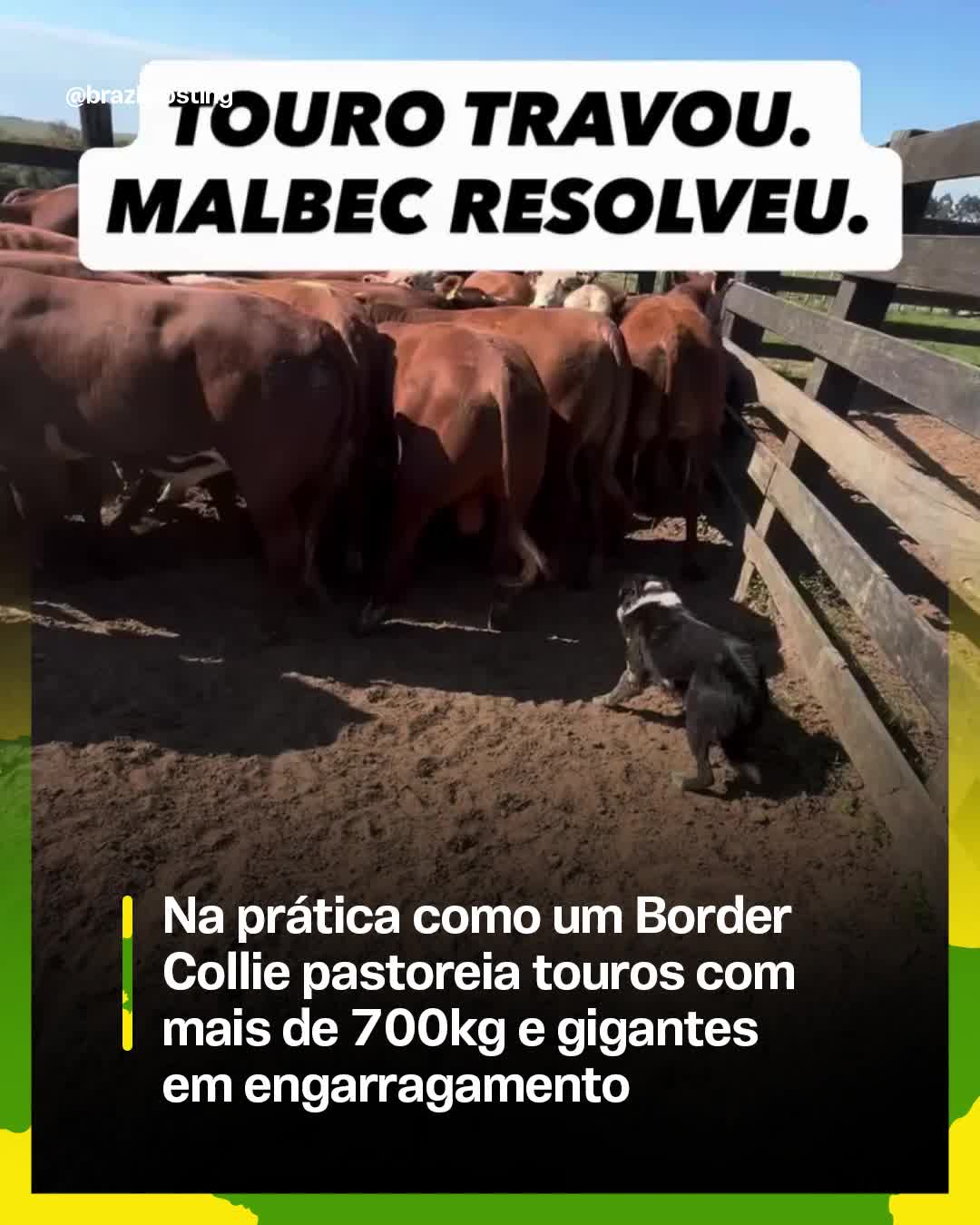 @Brazil Posting
