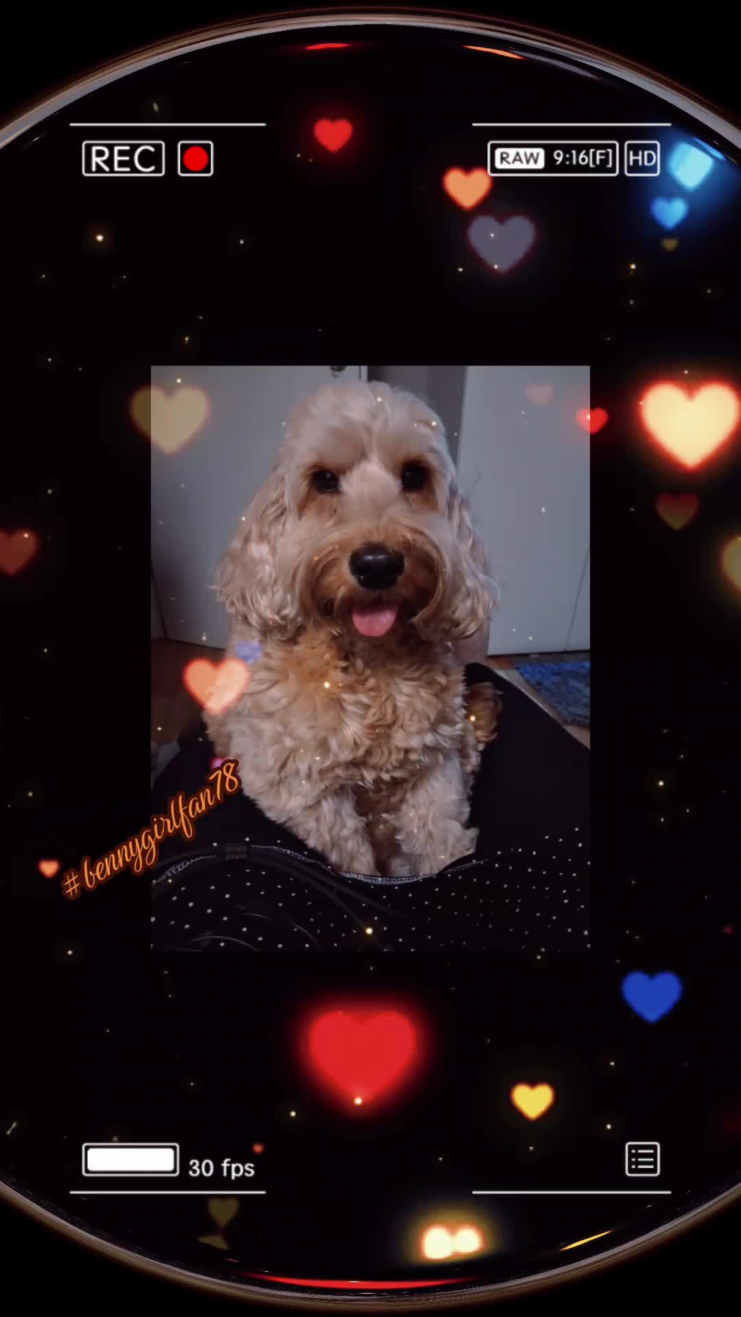 @🇩🇪💙Bennyfan0💙🇩🇪