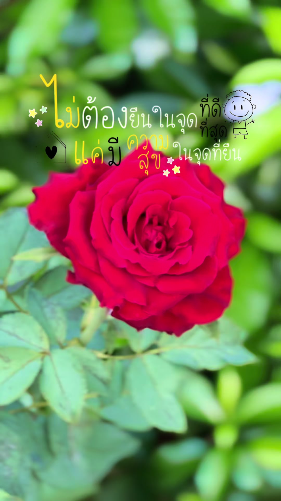 @ทัญญ่า 🌻 เรียกเราชื่อนี้ 🌻