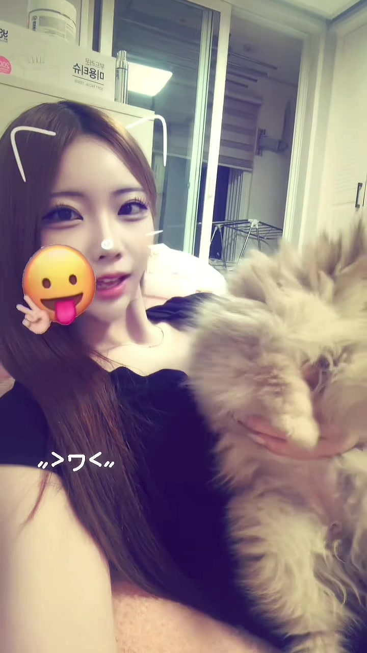 @설아룡