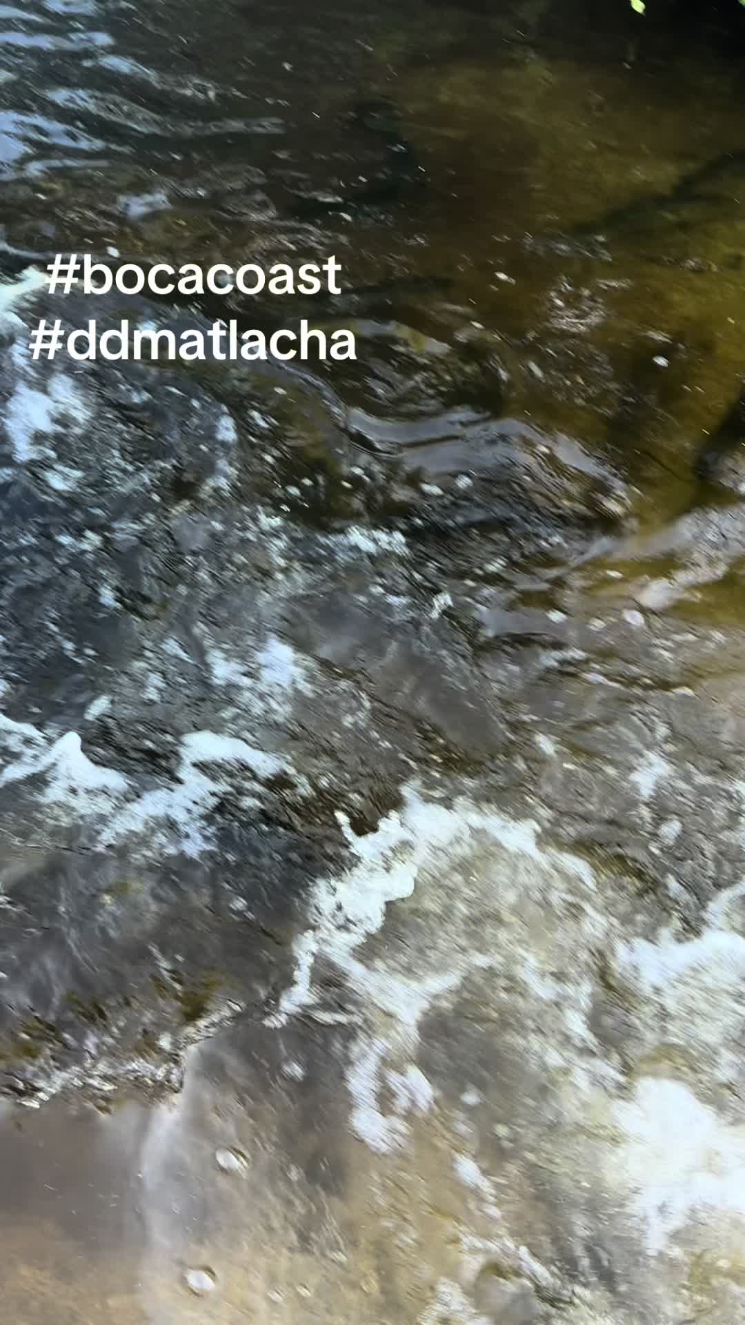 @BocaCoast (D&D Matlacha Bait)