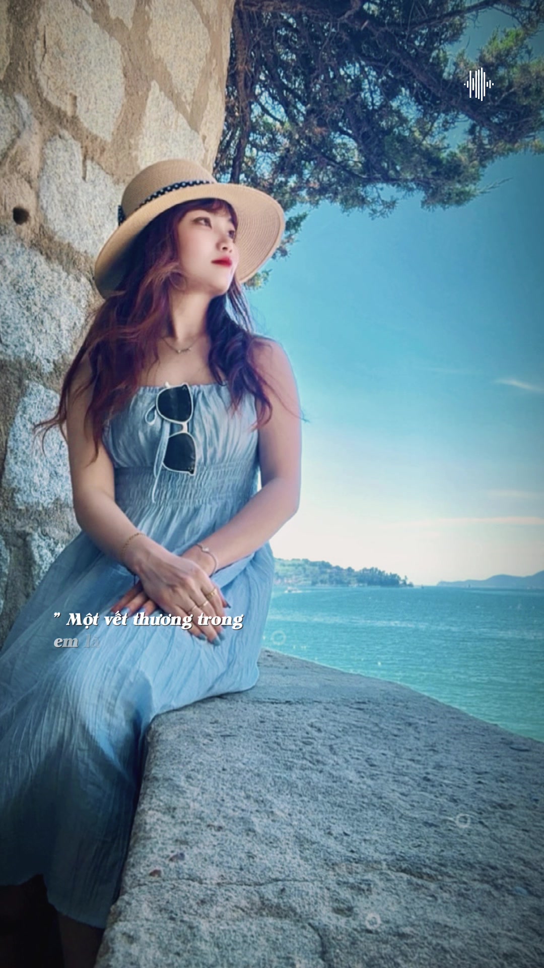 @gấu trúc