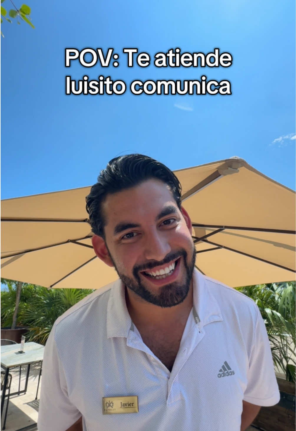 @paulpulidoo