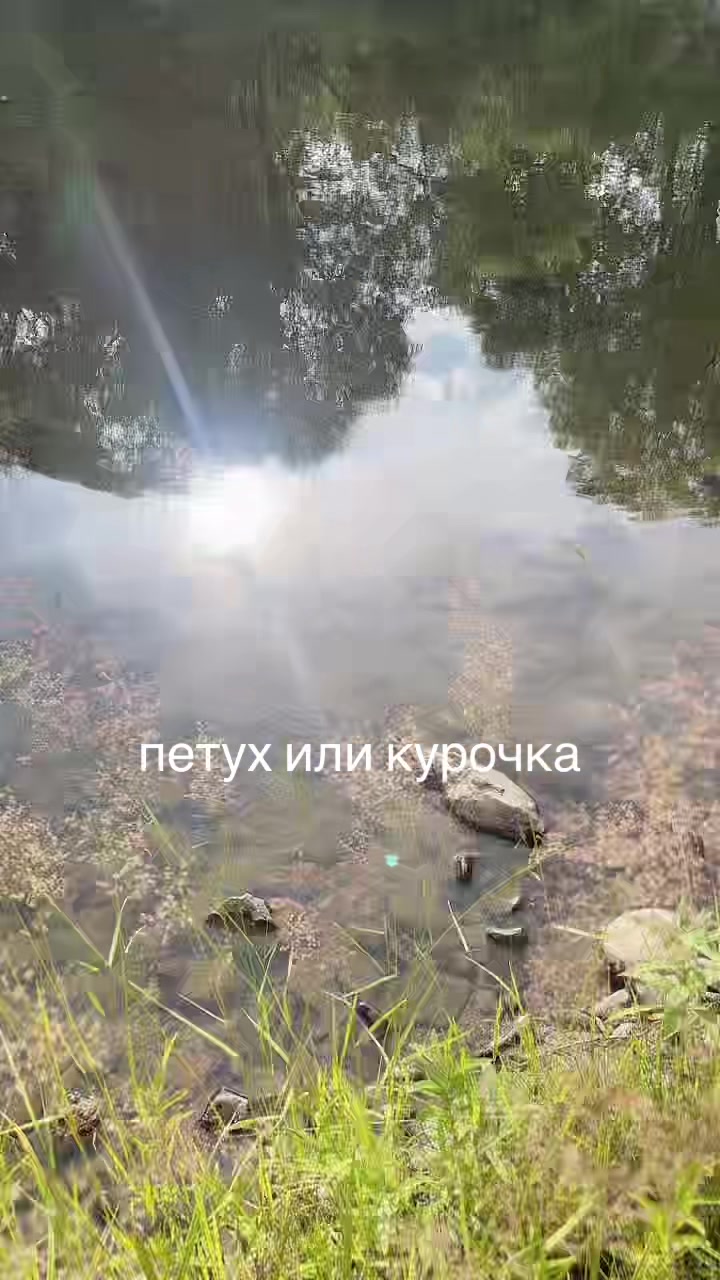 @alaskaqqe