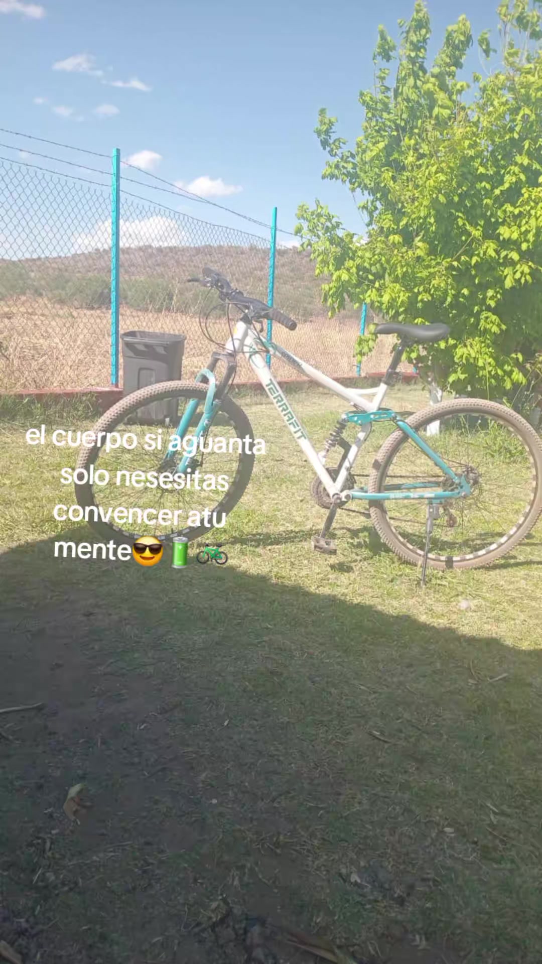 @Jesus Malverde