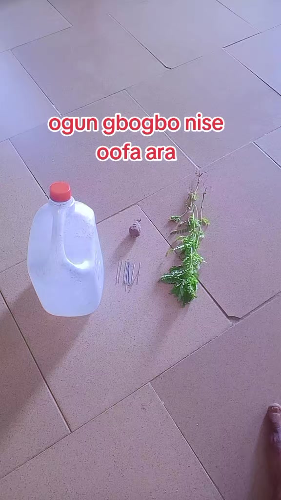 @oba ijinle ogbon agba