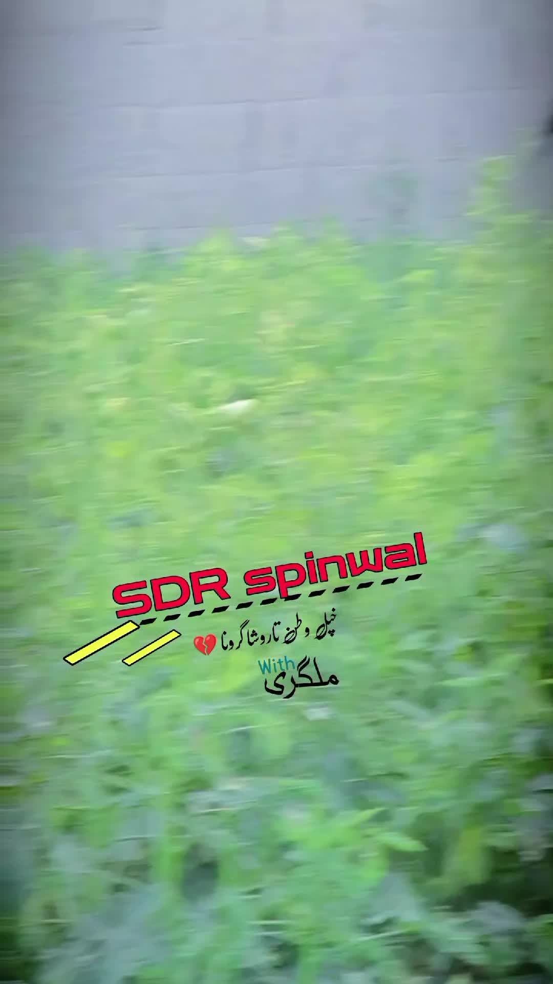 @༼ ❌↗ 𝙎𝘿𝙍.spinwal ↖ ༽❌