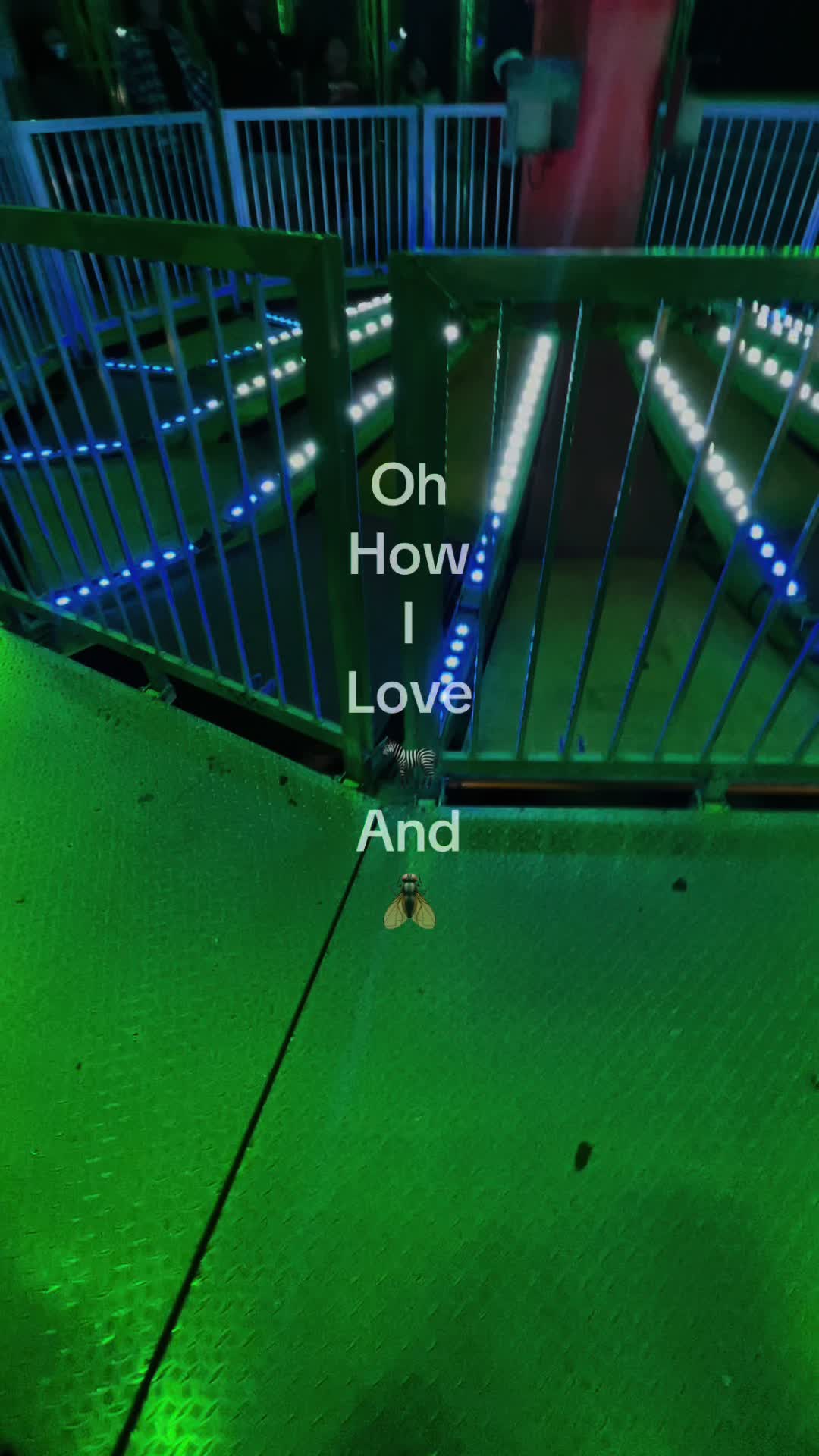 @𝓜ꨄ