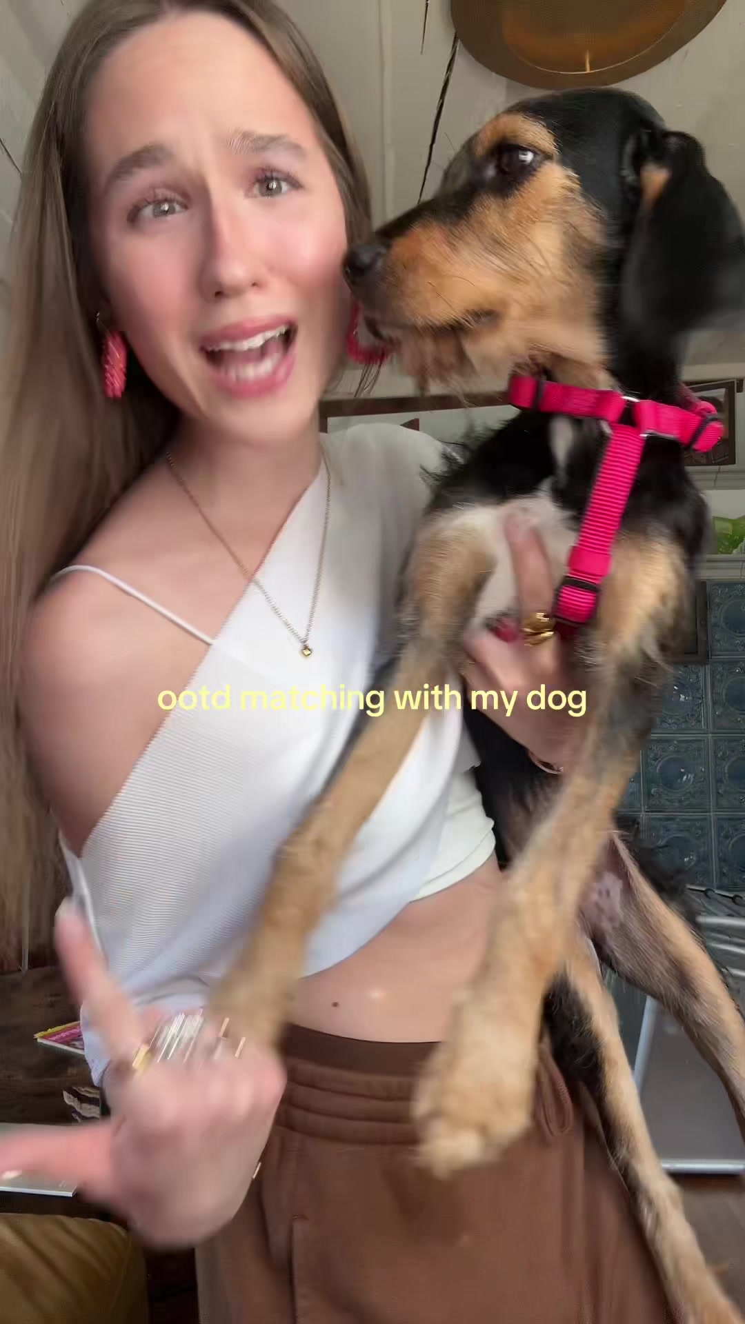 @⭐️louisa (olivia’s version)⭐️