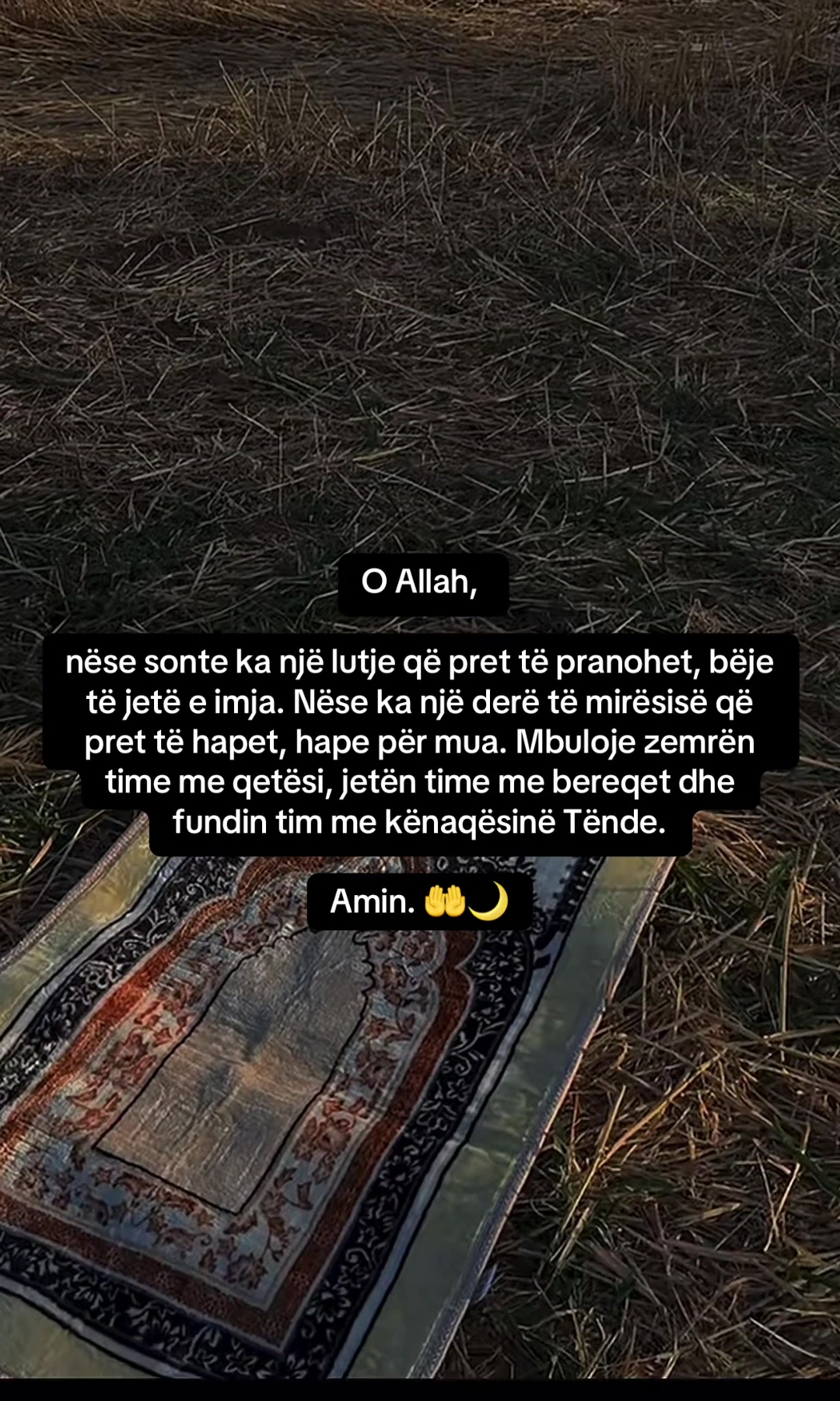 @🌙 Qetësi • Besim • Dritë