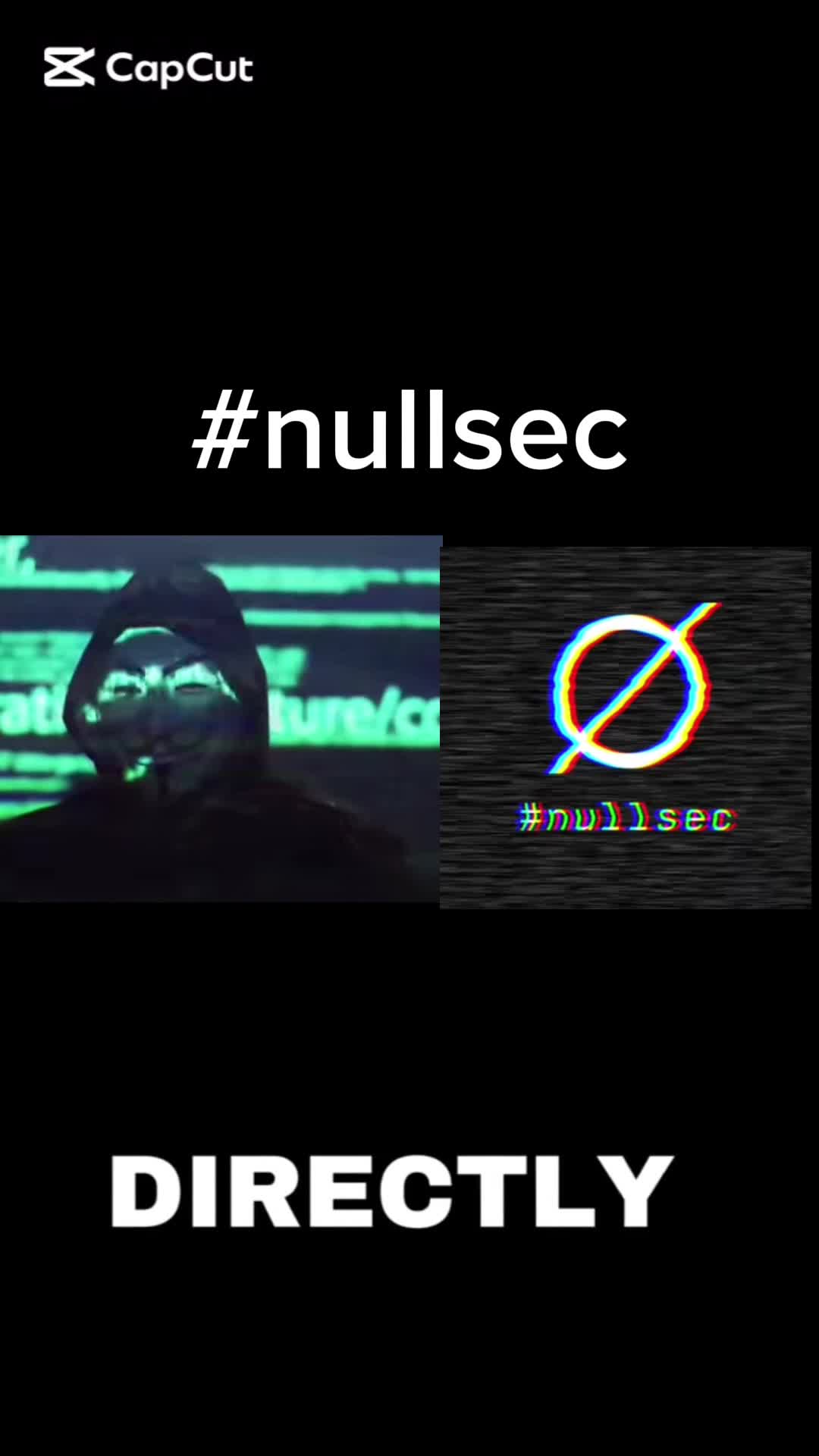 @nullsec