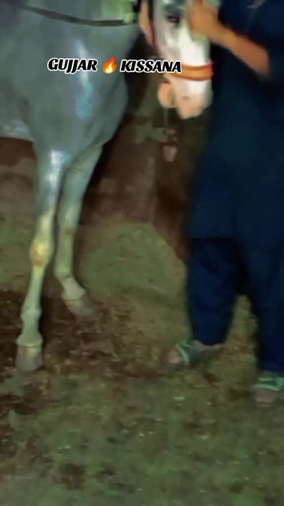 @𝐆𝐔𝐉𝐉𝐀𝐑 𝐊𝐈𝐒𝐒𝐀𝐍𝐀55
