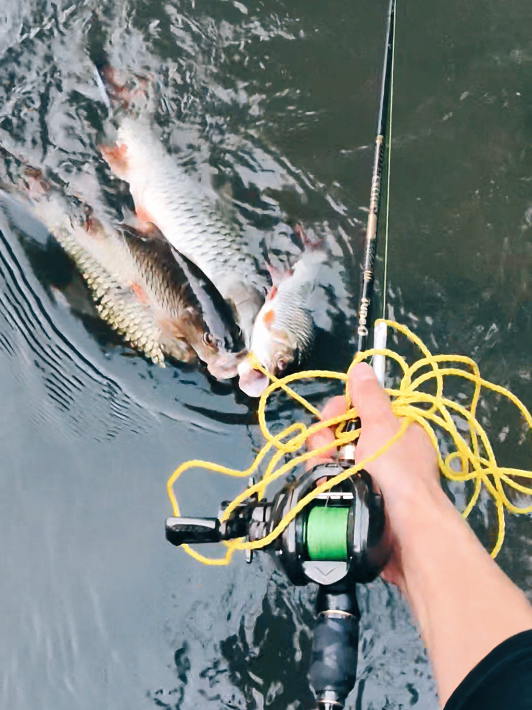 @gustavxfishing
