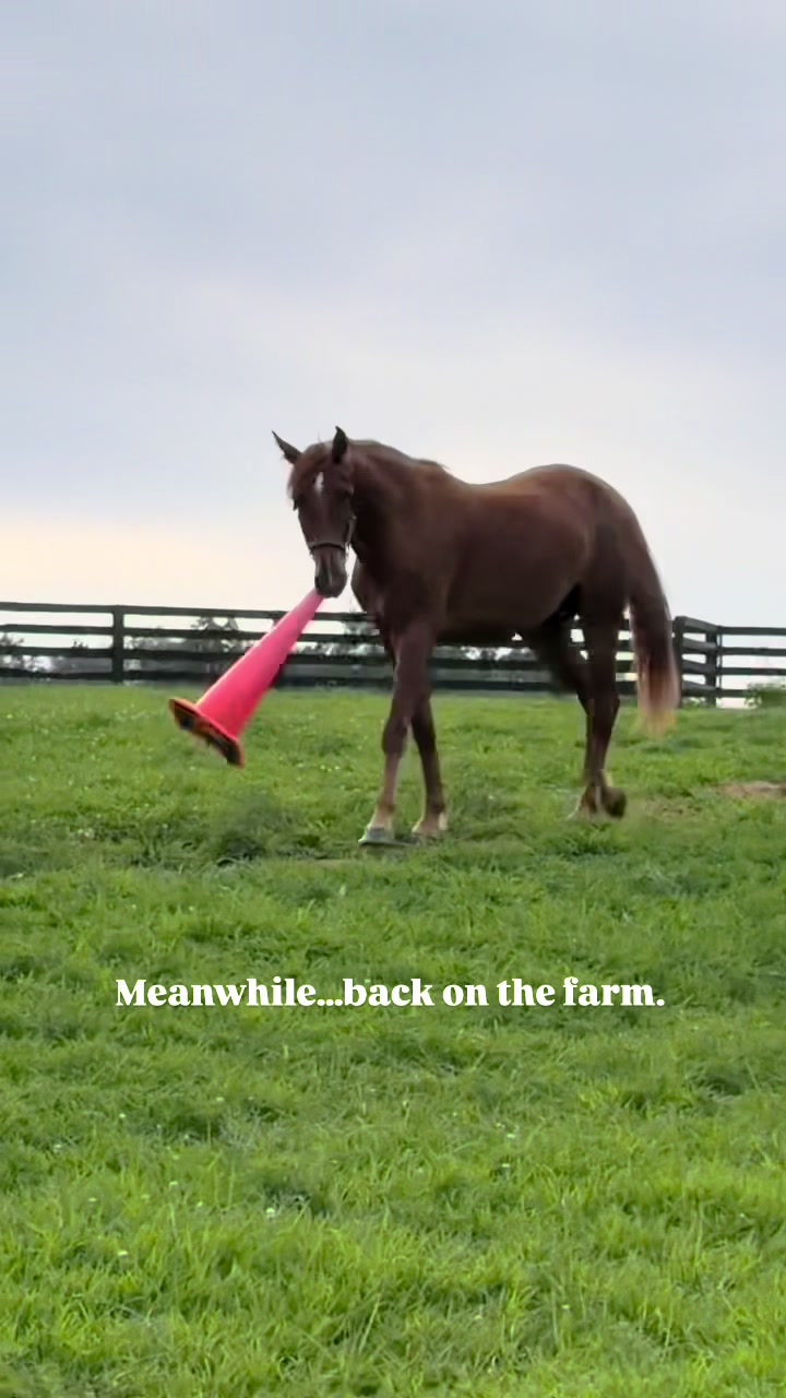 @Stonewell Farm