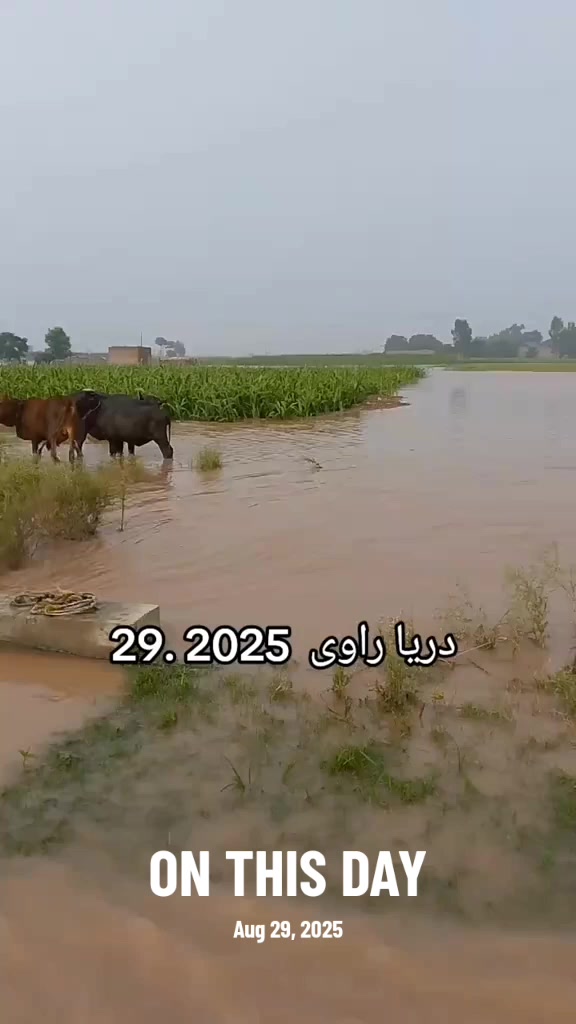 @🚩ALI,MUDASSAR🚩