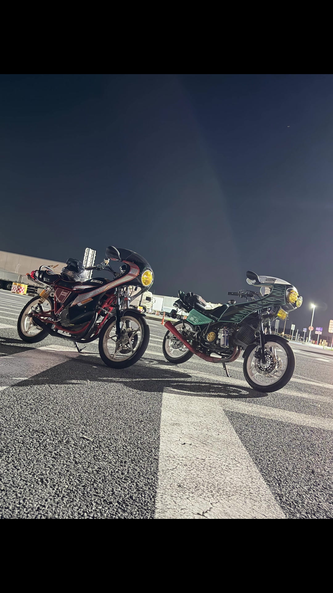 @ハーフ顔のゴキブリ🪳