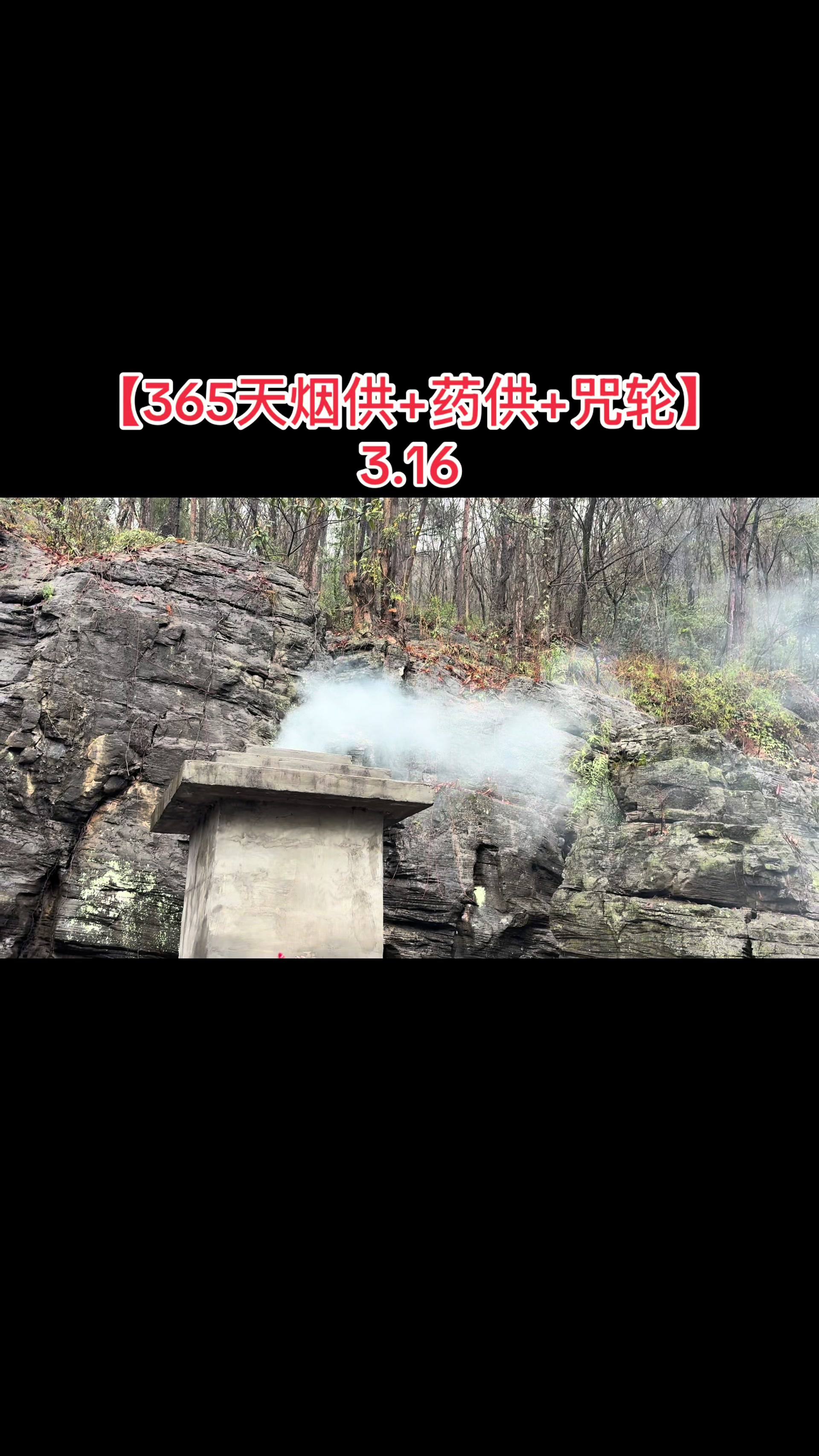 @云丹