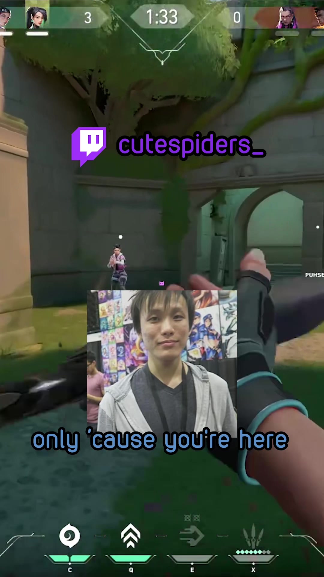 @cutespiders 🕷️🕸️