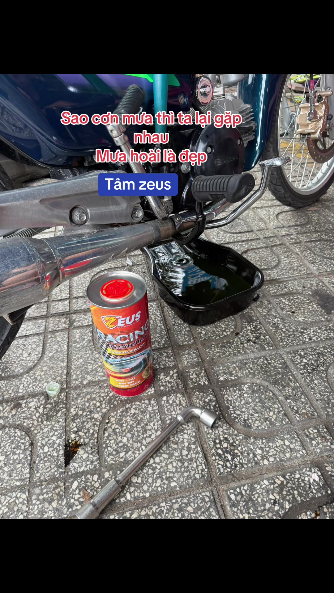 @Tâm Zeus