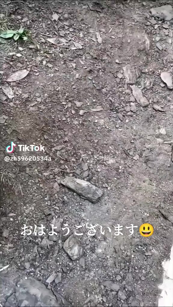 @クマ🐻(うえぴー）✊️❌️🐤