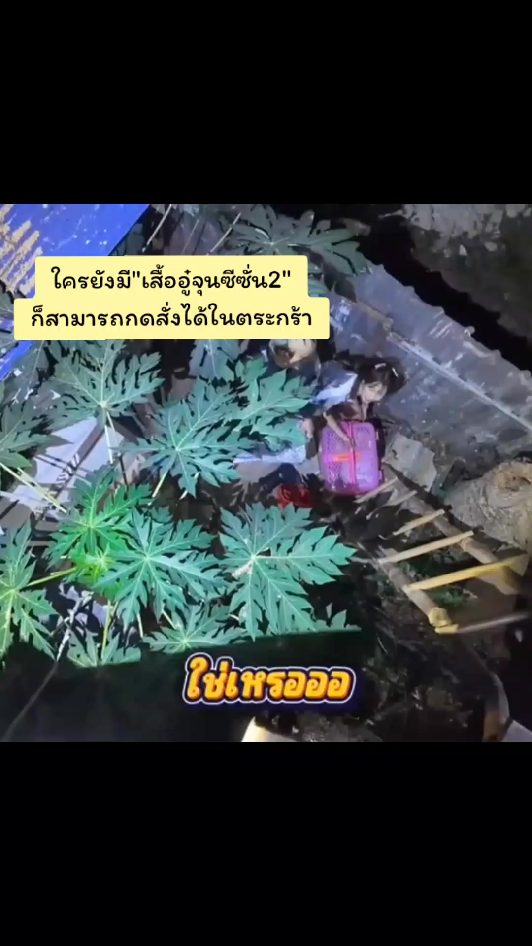 @ห่ะ!?