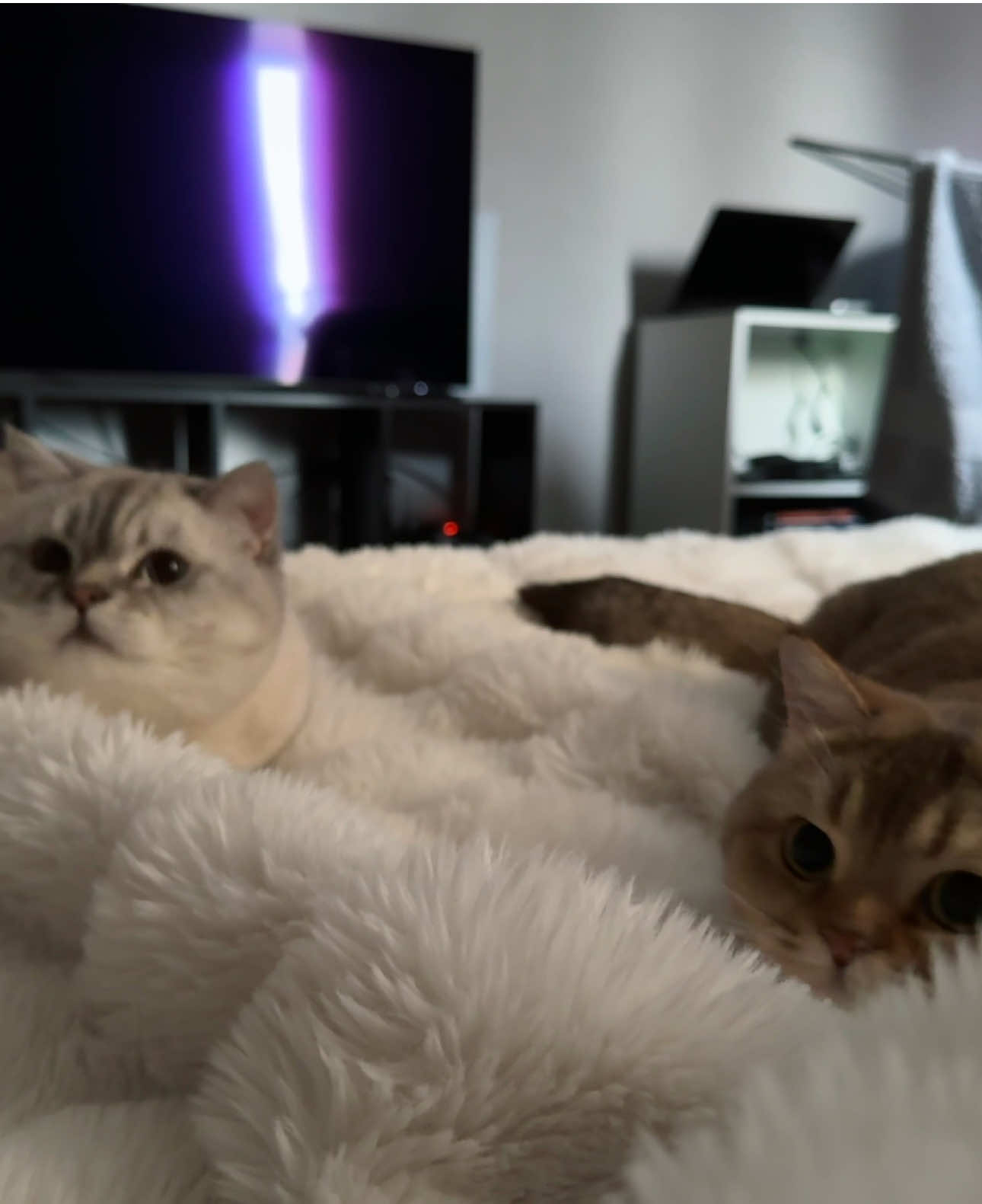 @Катенька♡
