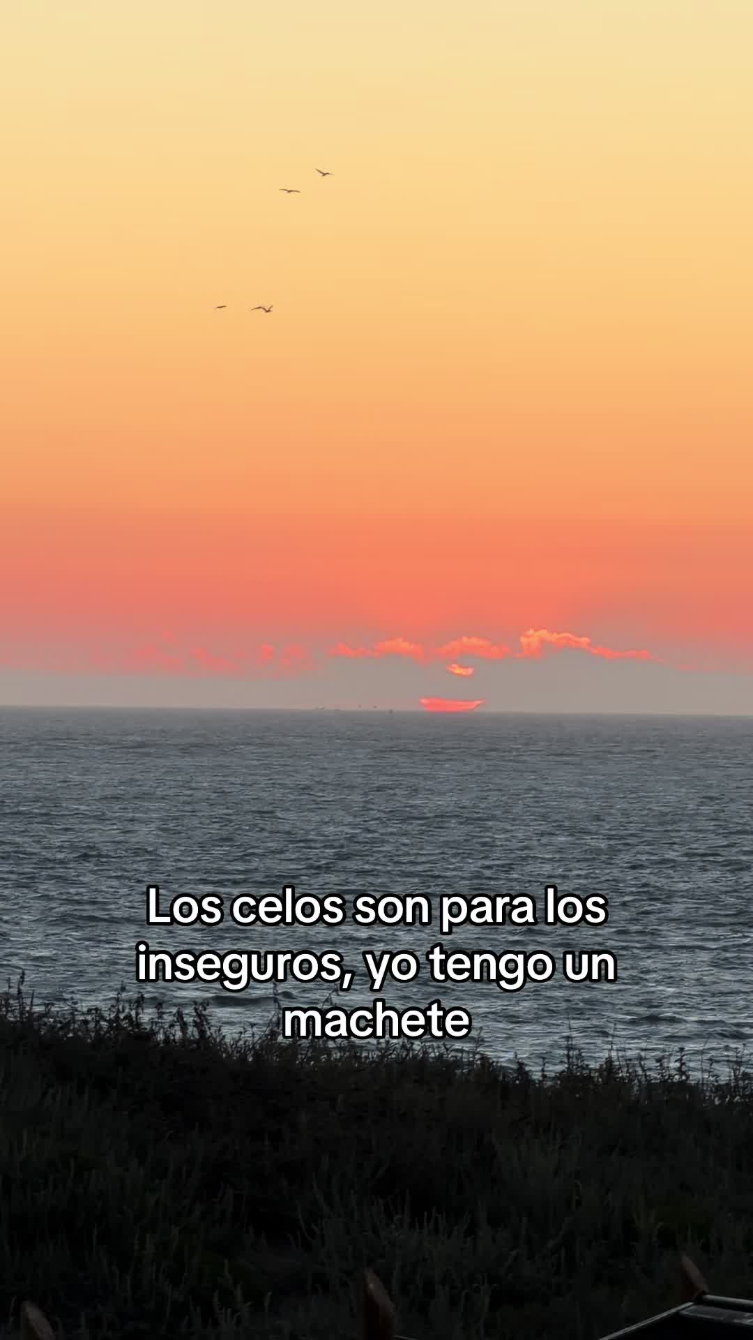 @Nazario Obledo Jr.