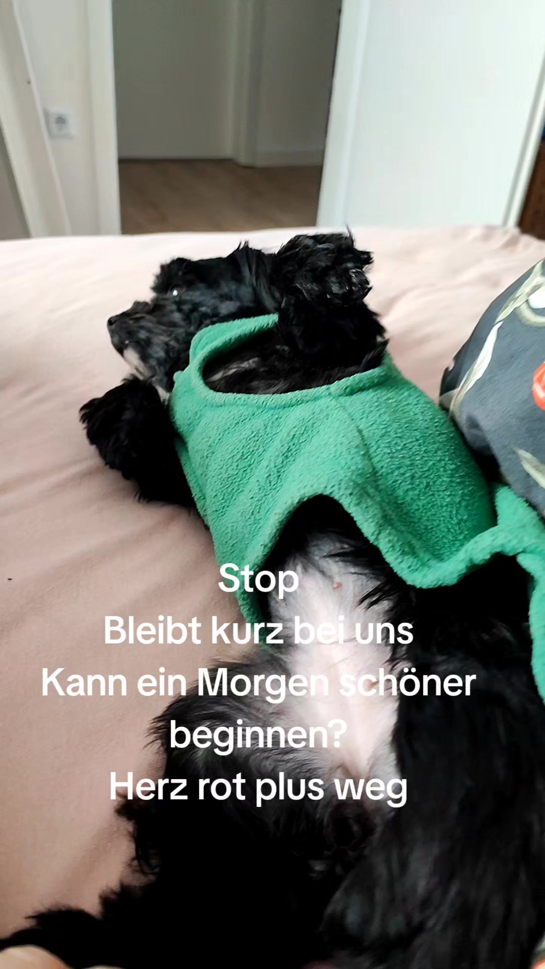 @P&ouml;ppi
