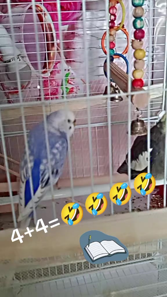@Натали 🥰🥰🥰🥰☑️☑️☑️