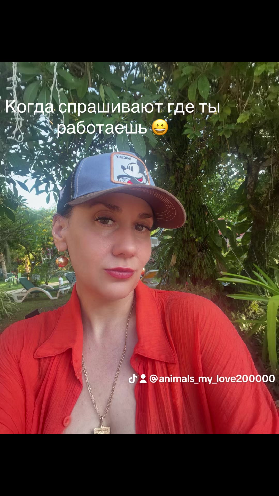 @Шпицы