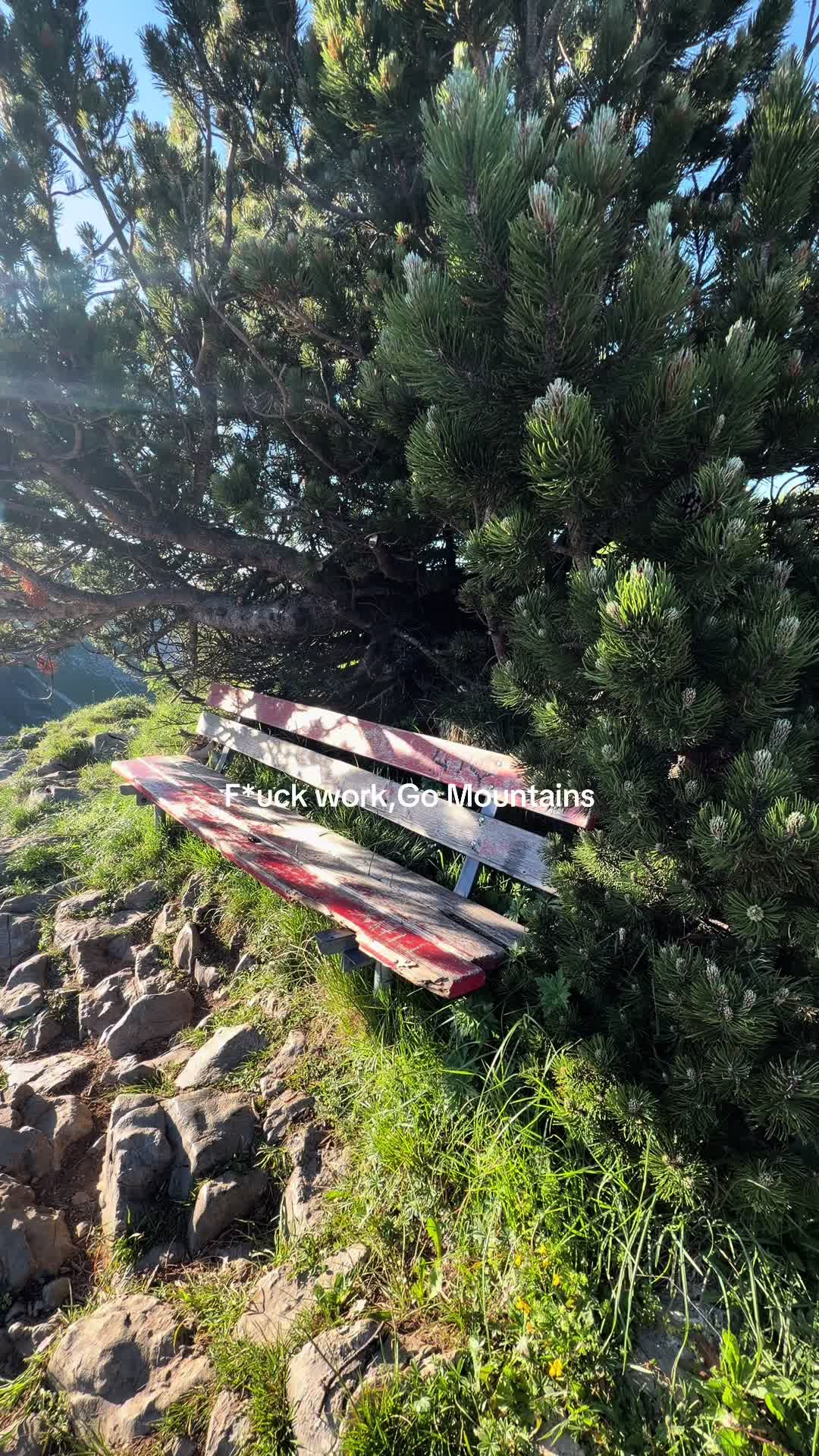 @Vinchik🏔️