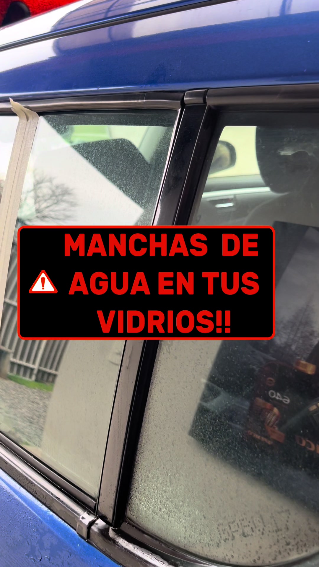 @Maxel Lubricantes