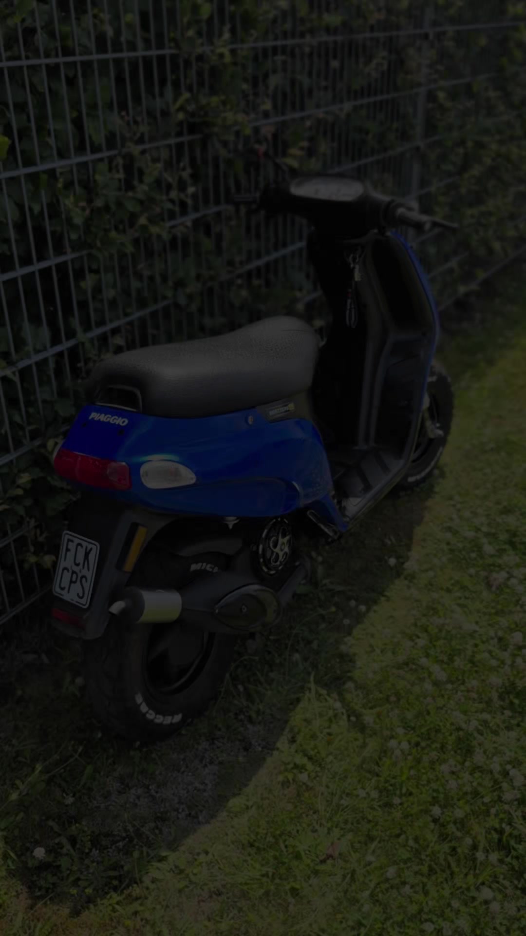@MarcoOnMaxi🥝