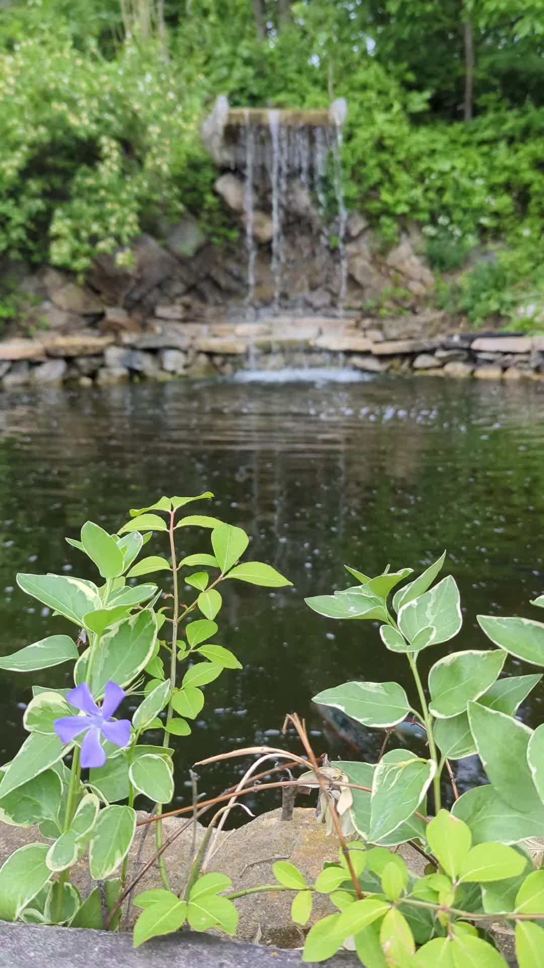 @B&M Aquatics
