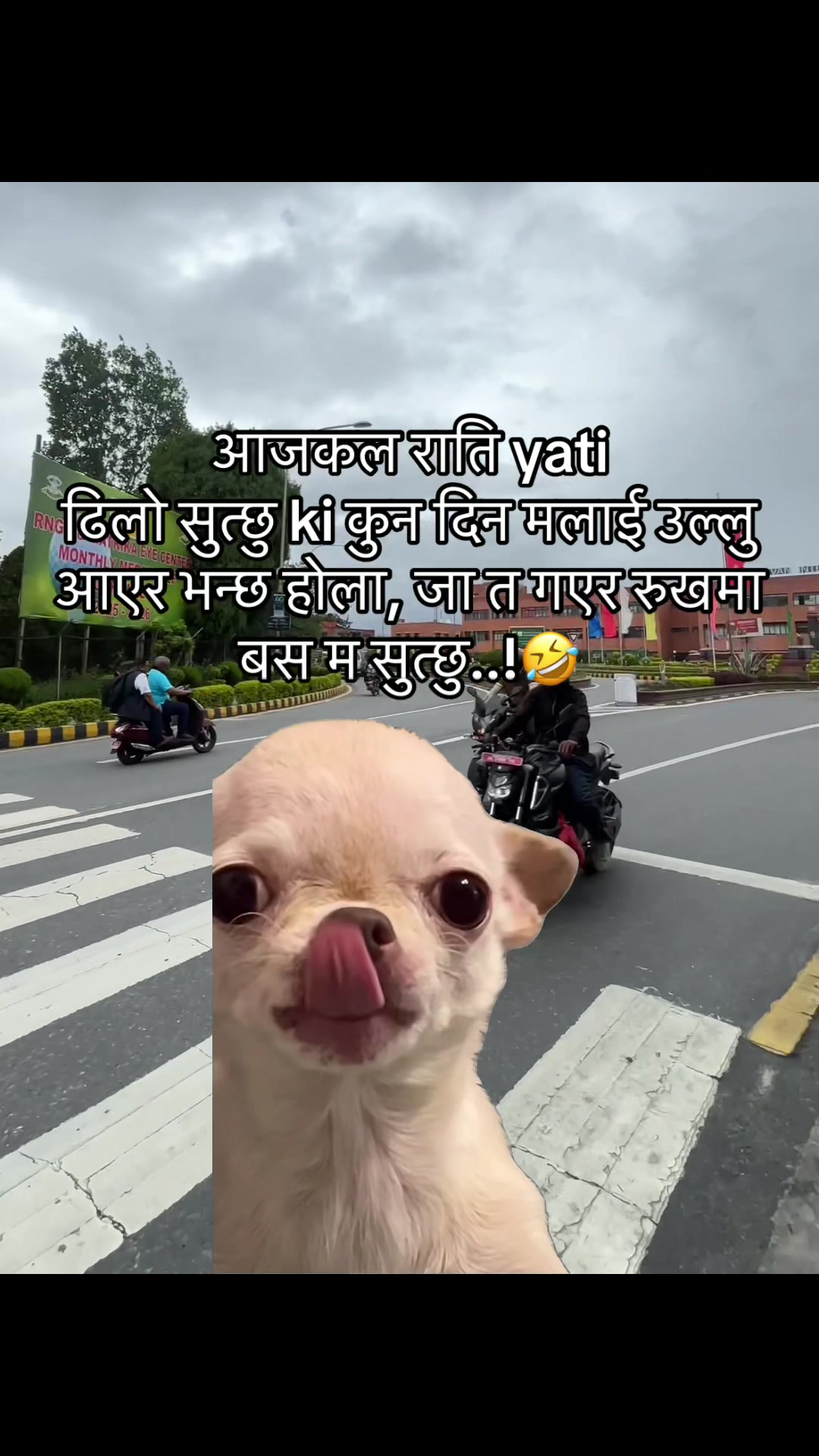 @अजय राज धामी 🇵🇹